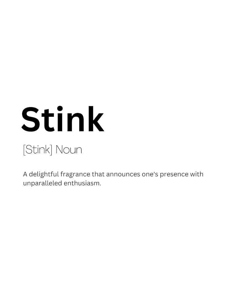 Stink Definition Meaning