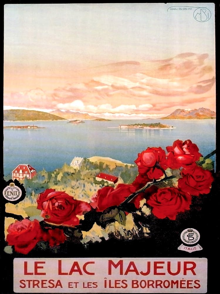 Red Roses In Lake Maggiore, Italy