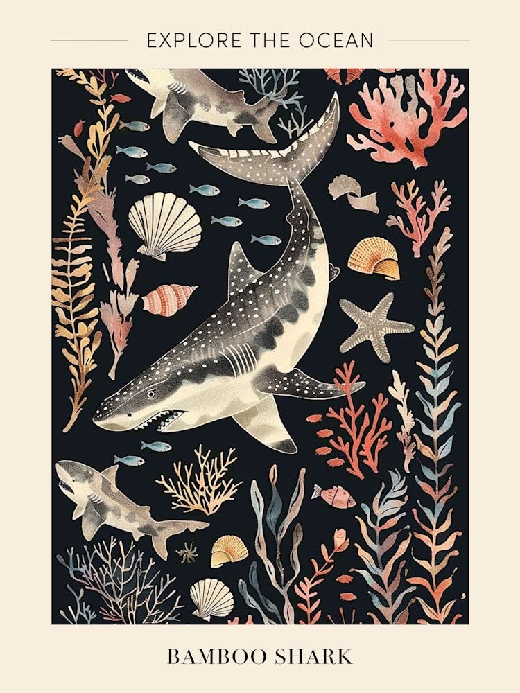 Bamboo Shark Schwarzes Meereslandschaft Poster