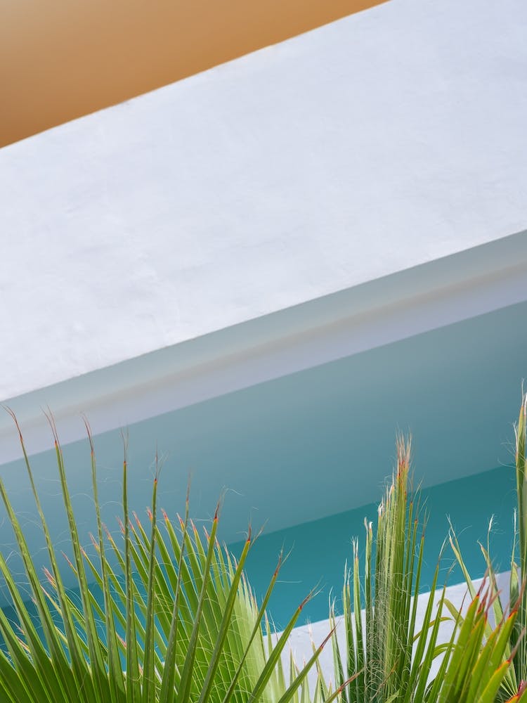 Art Deco Architecture With Palms Summer Travel