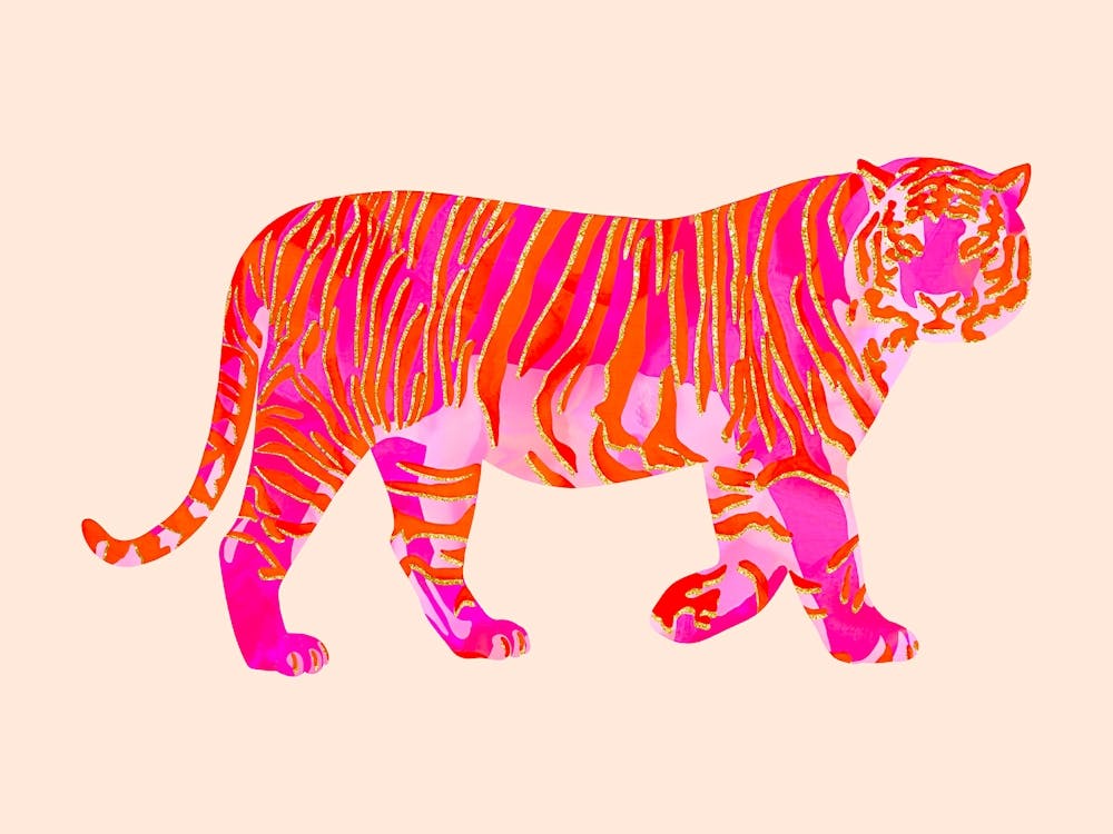 Pink Orange Tiger