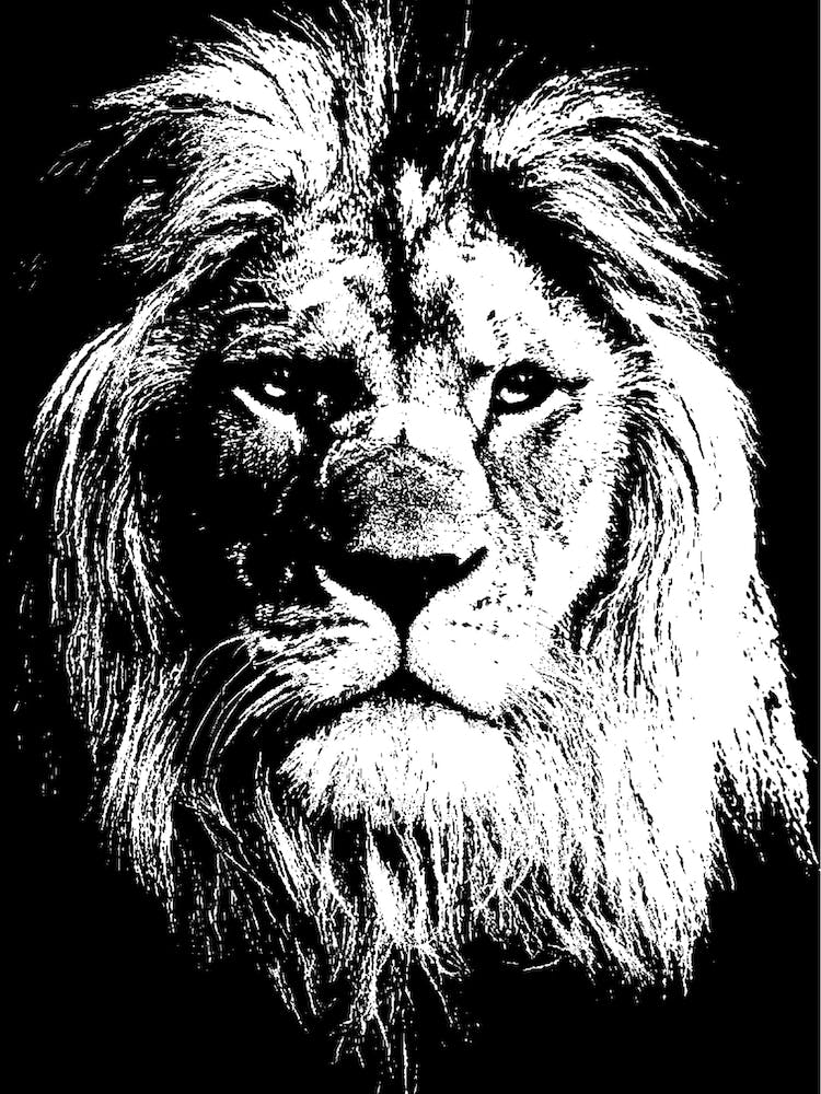 Aslan King of Beasts, the son of the Emperor-Over-the-Sea, and the King above all High Kings in Narnia.