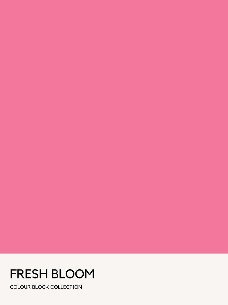 Fresh Bloom Colour Block Poster
