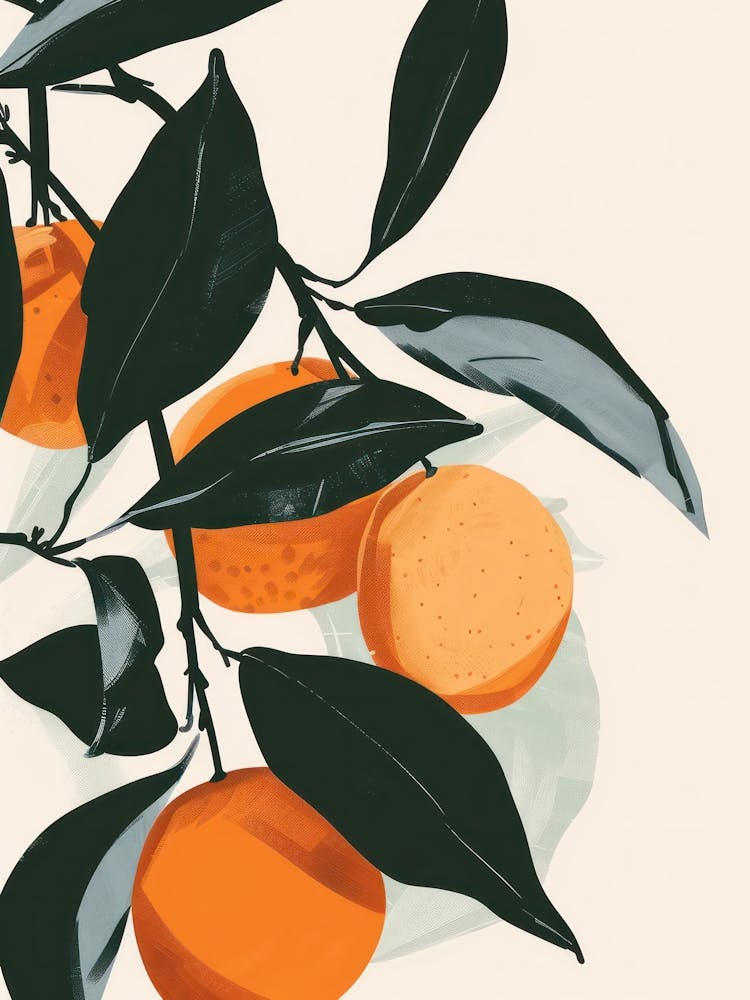Clementines Close Up Illustration 2