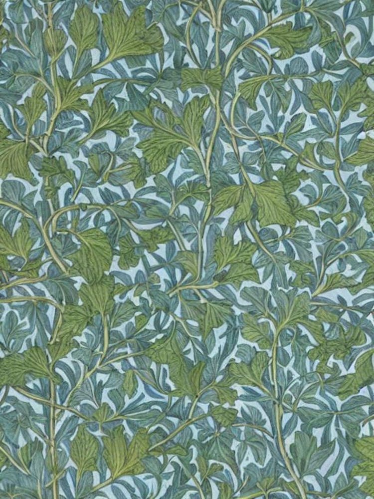 Poplar tree Vintage Botanical