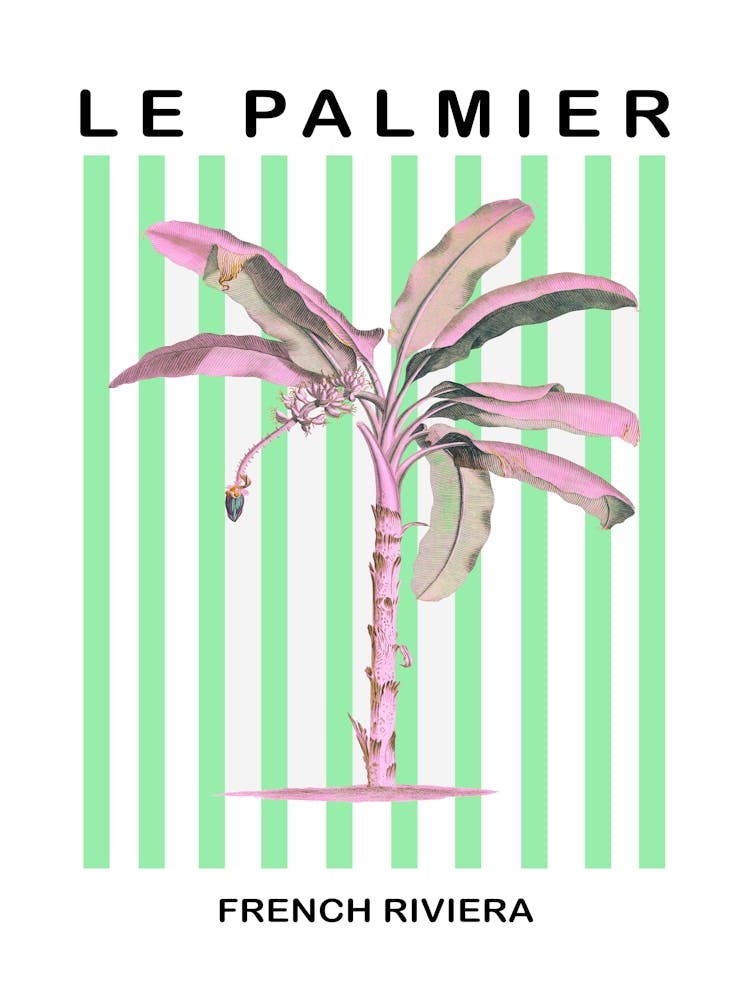 Le Palmier French Rivera 1