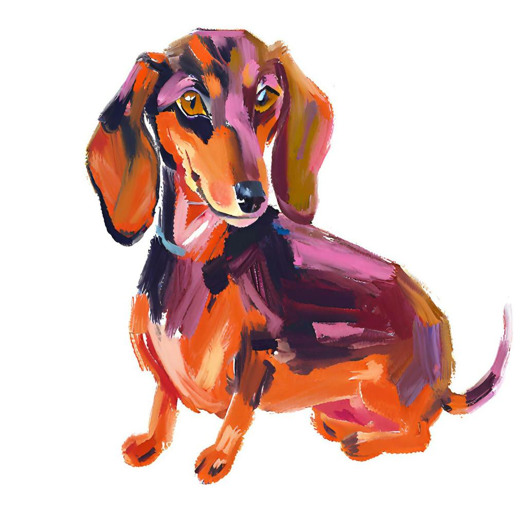 Dachshund 01