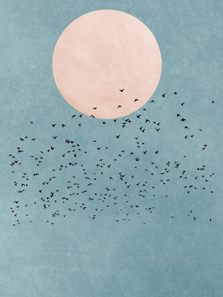 Fly Away Office Hallway