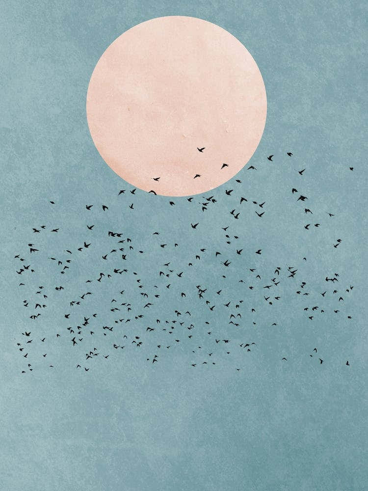 Fly Away Office Hallway