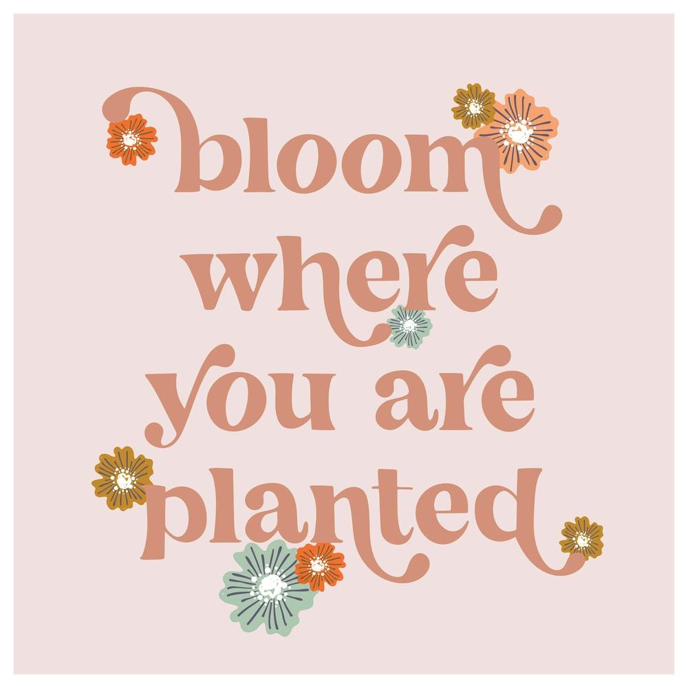 Bloom where you are planted boho flowers 1
