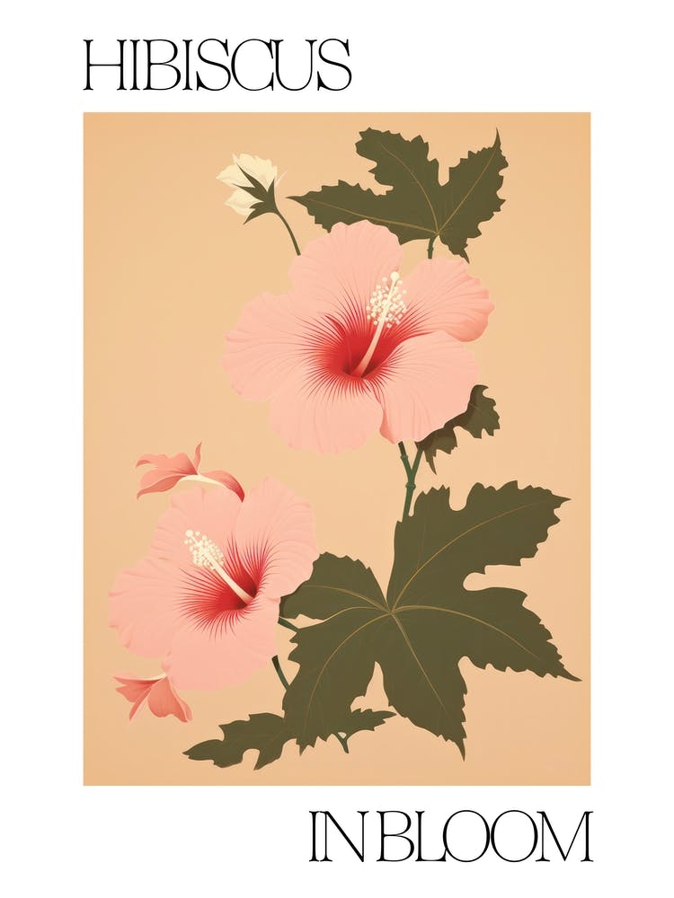 Hibiscus In Bloom Flowers Bold Illustration 2