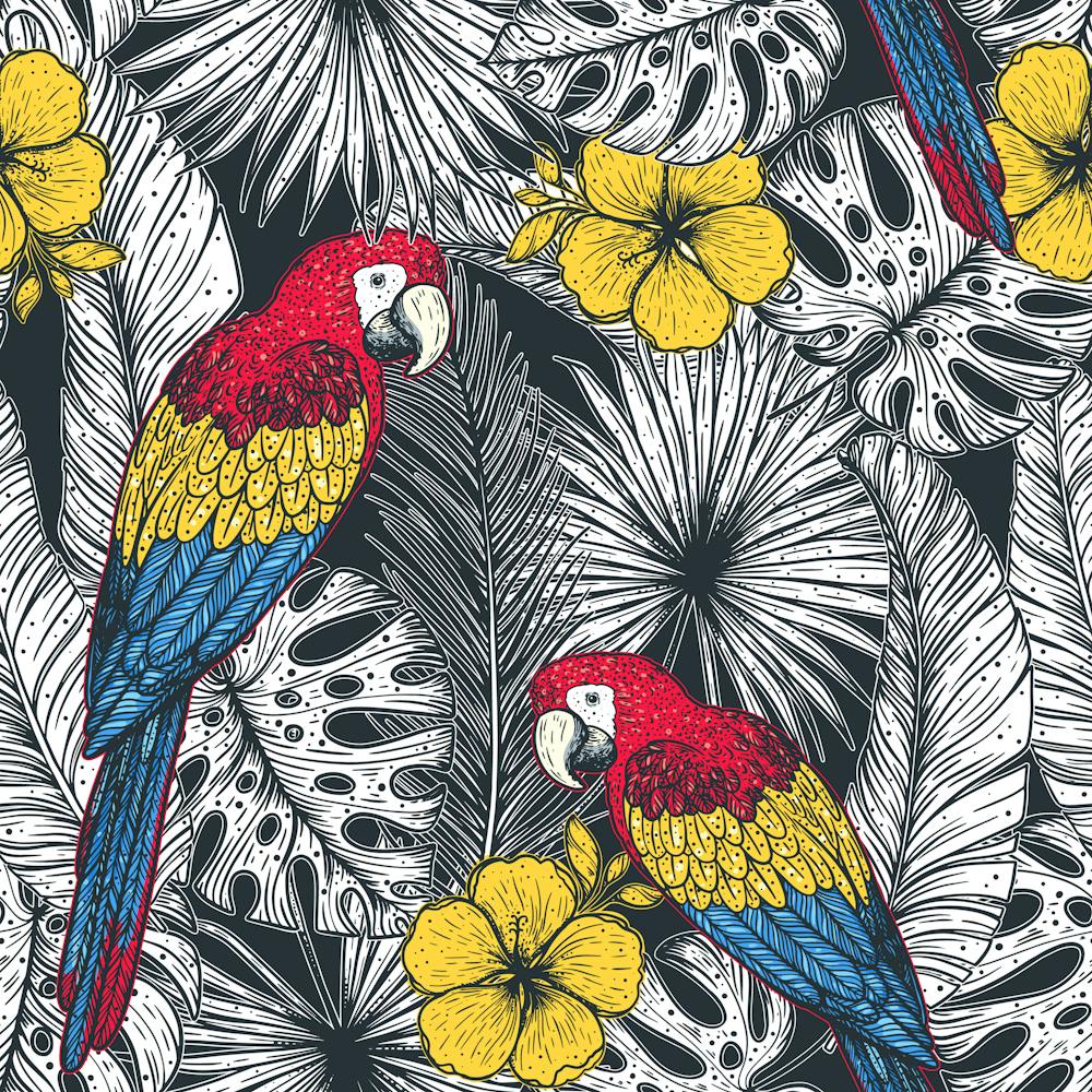 Tropical Parrots