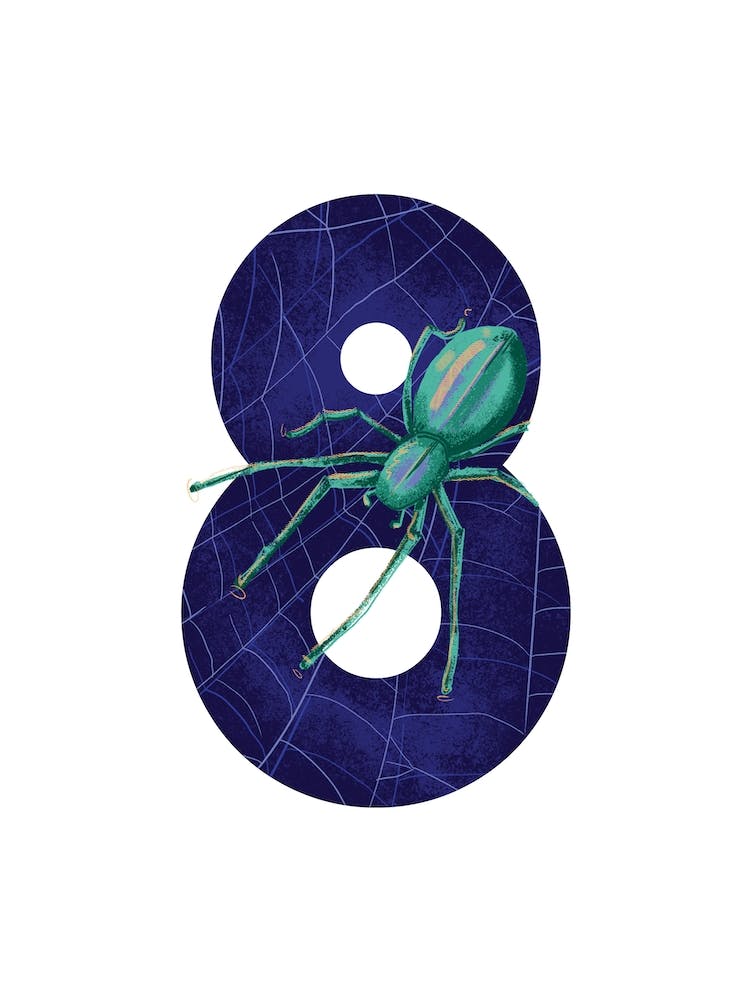 8  Spider 