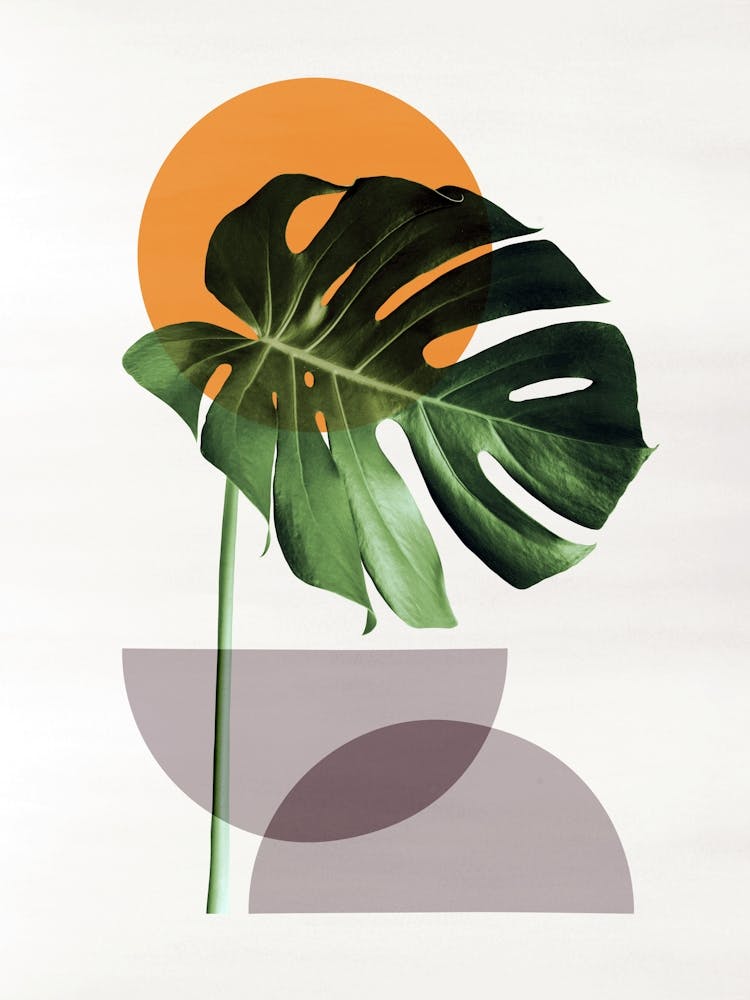 Harmonische Blumenkomposition 10