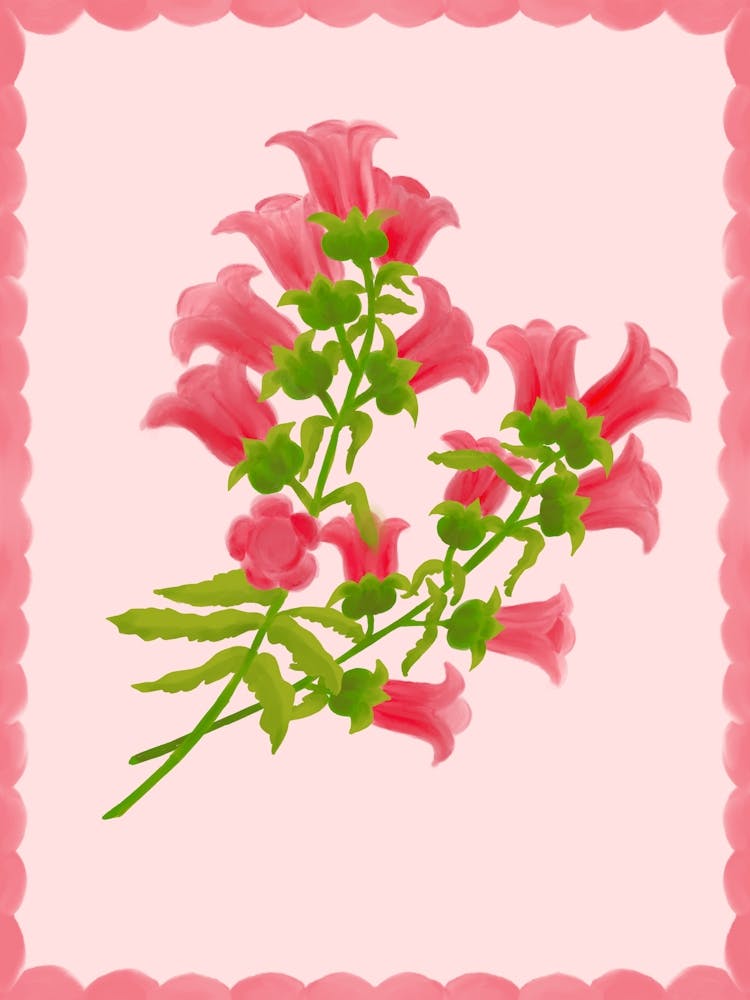 Fleurs de Calampula roses
