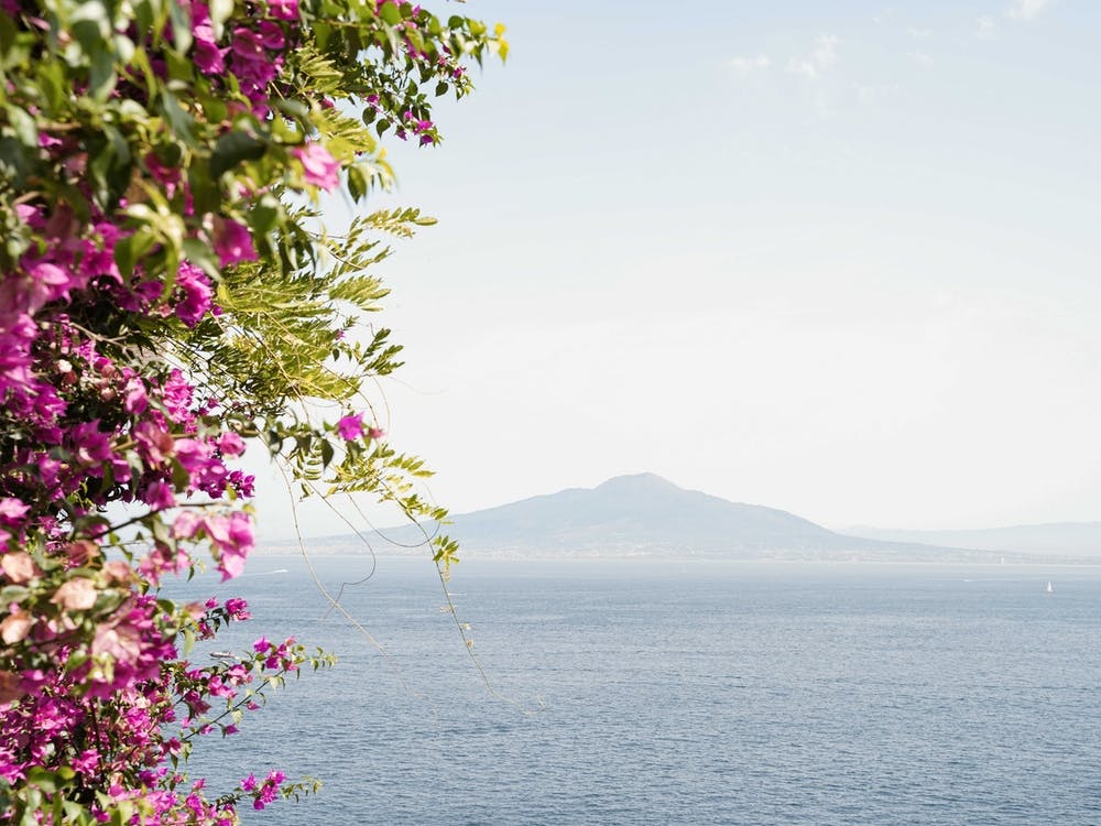 Vesuvius Landscape