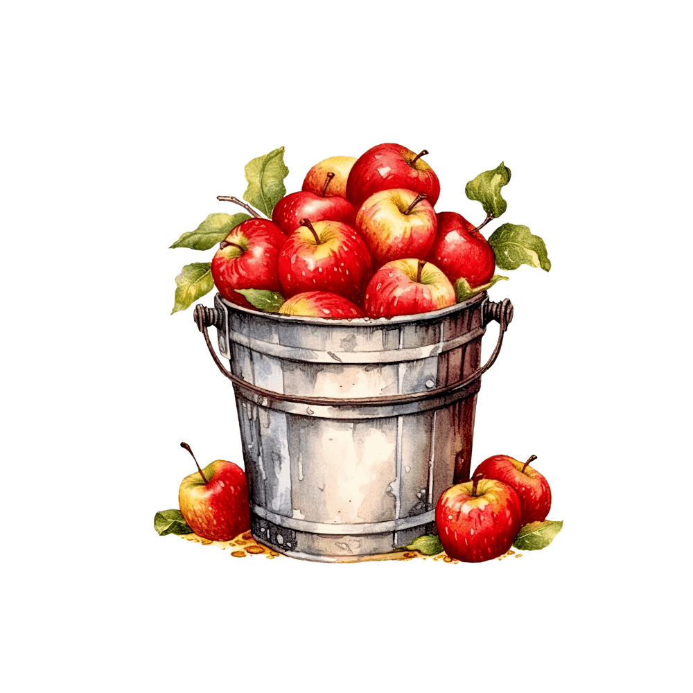 Apples In A Bucket 1