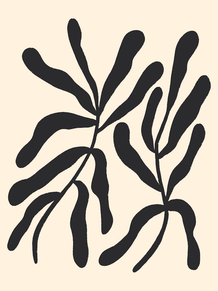 Black Stylized Branches