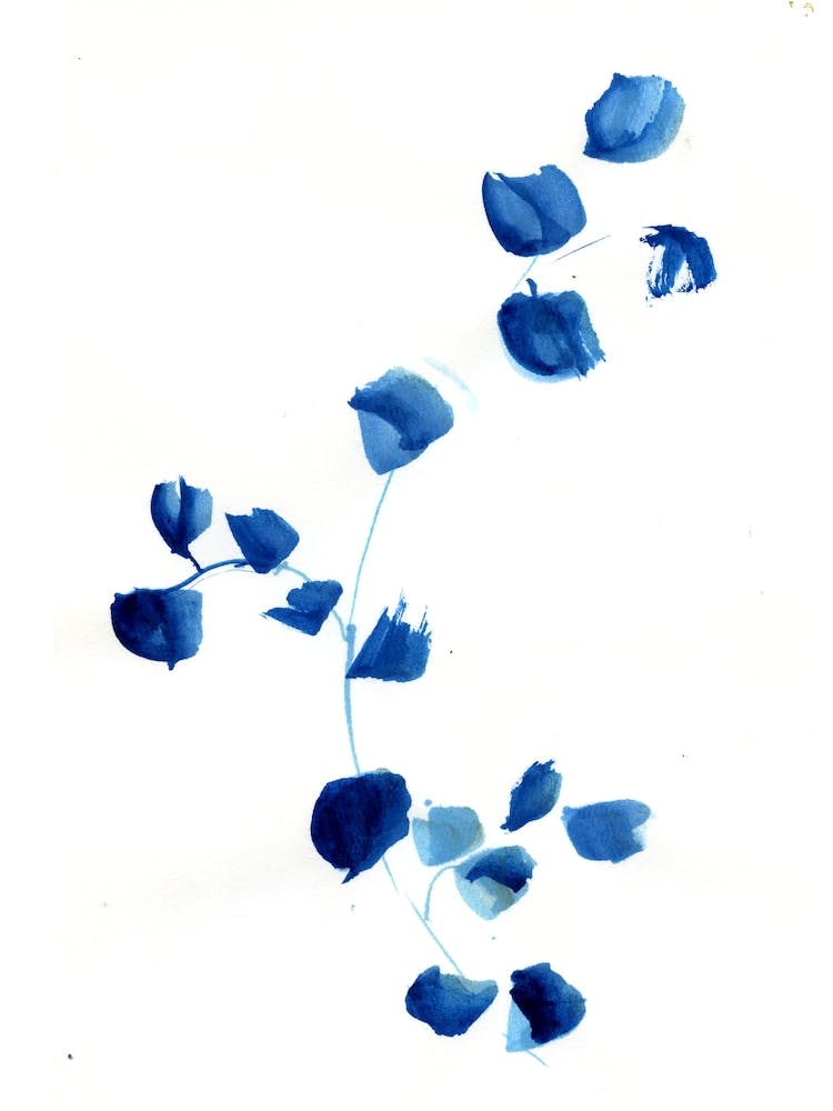 Blue Sprig
