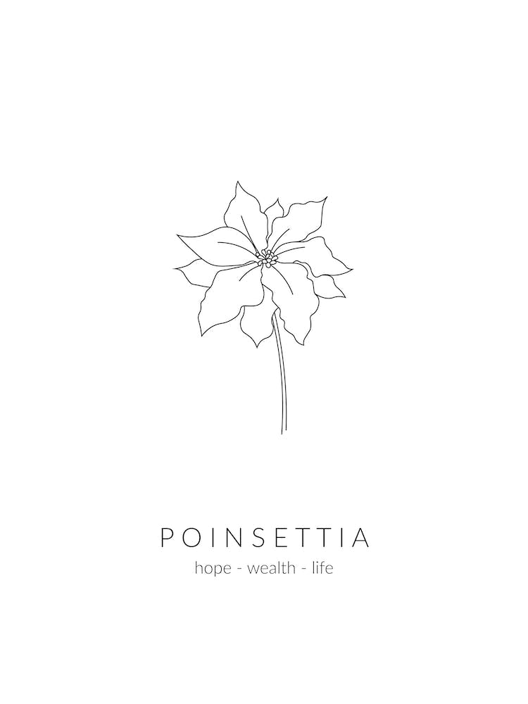 Poinsettia Birth Flower