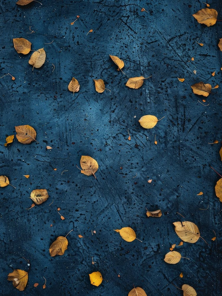 Autumn Leaves On A Blue Background 1