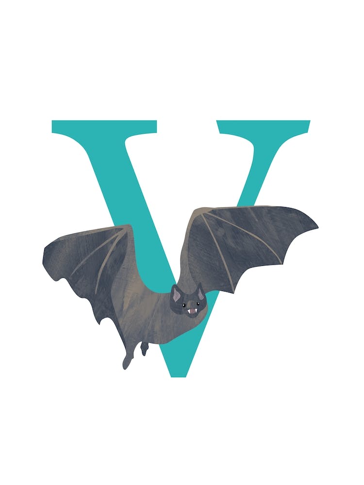V For Vampire Bat