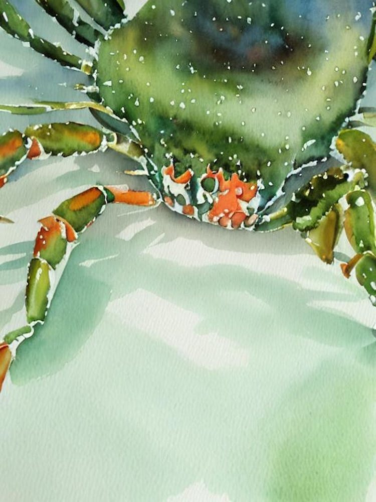 King Crab Storybook Watercolour