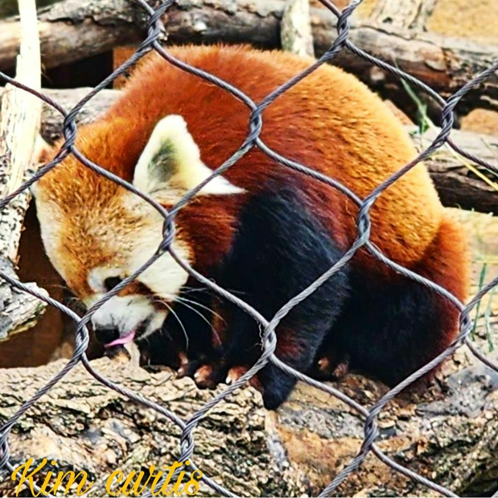Picsart 23 09 24 13 30 55 886