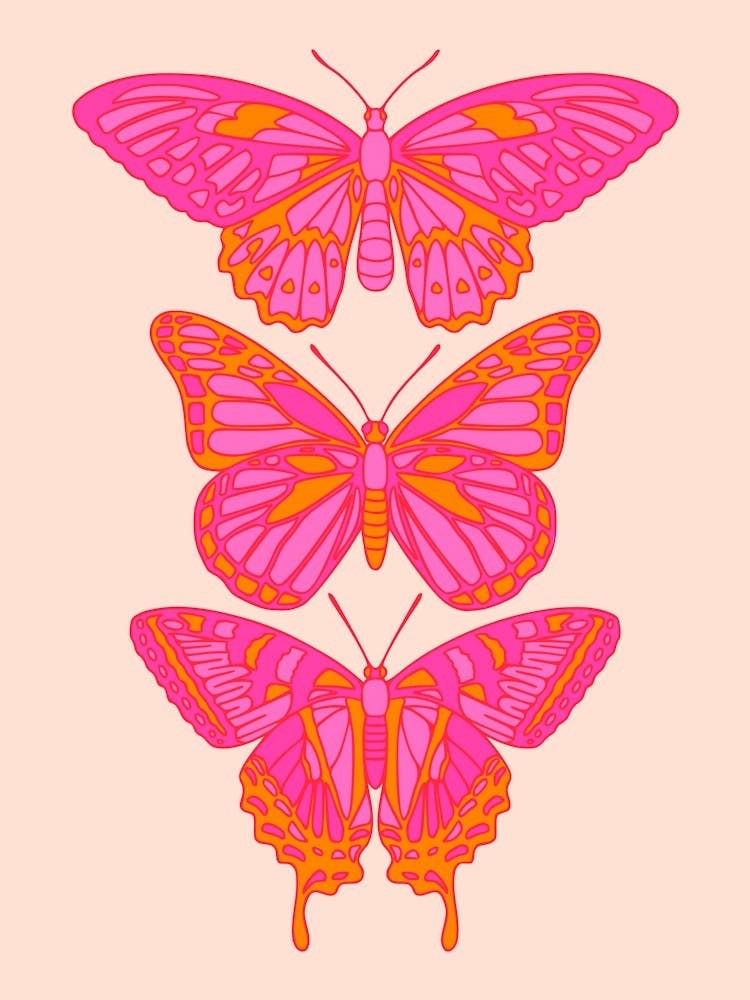 Pink Orange Butterflies