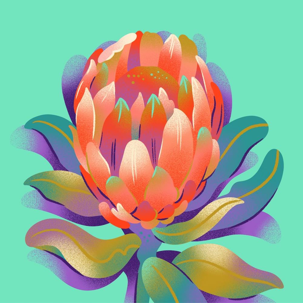 Protea Flower On Mint