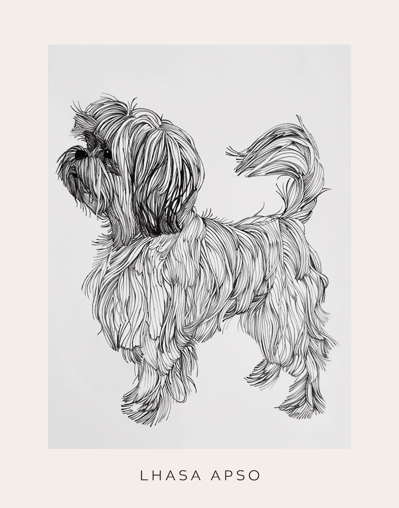 Lhasa Apso Dog Line Sketch 3 Poster