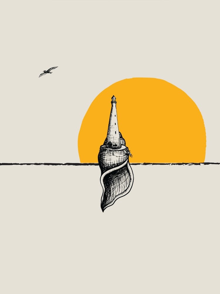 Seashell At Sunset
