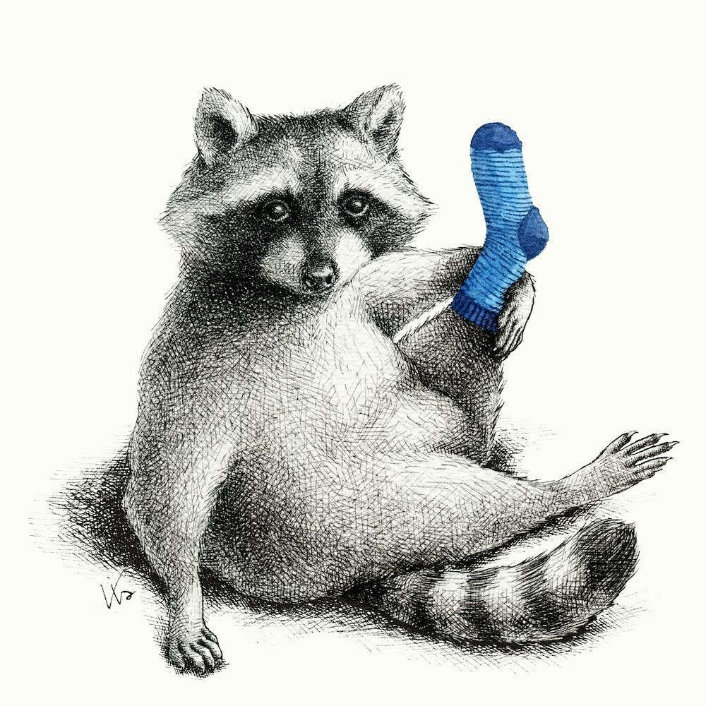 Yoga Raccoon Square