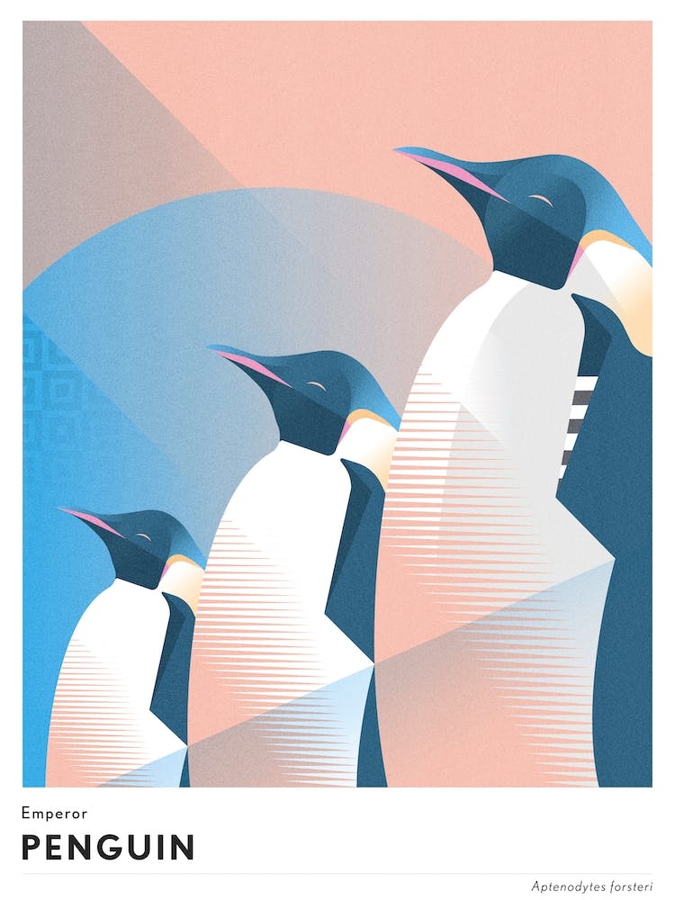 Emperor Penguin