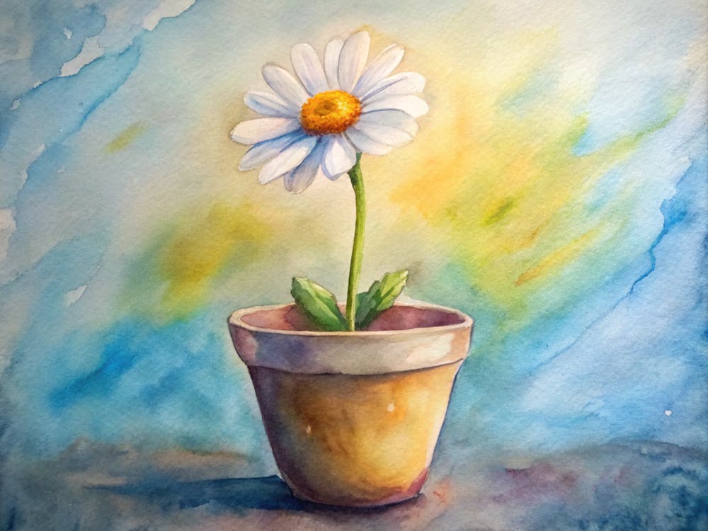 Daisy In A Pot