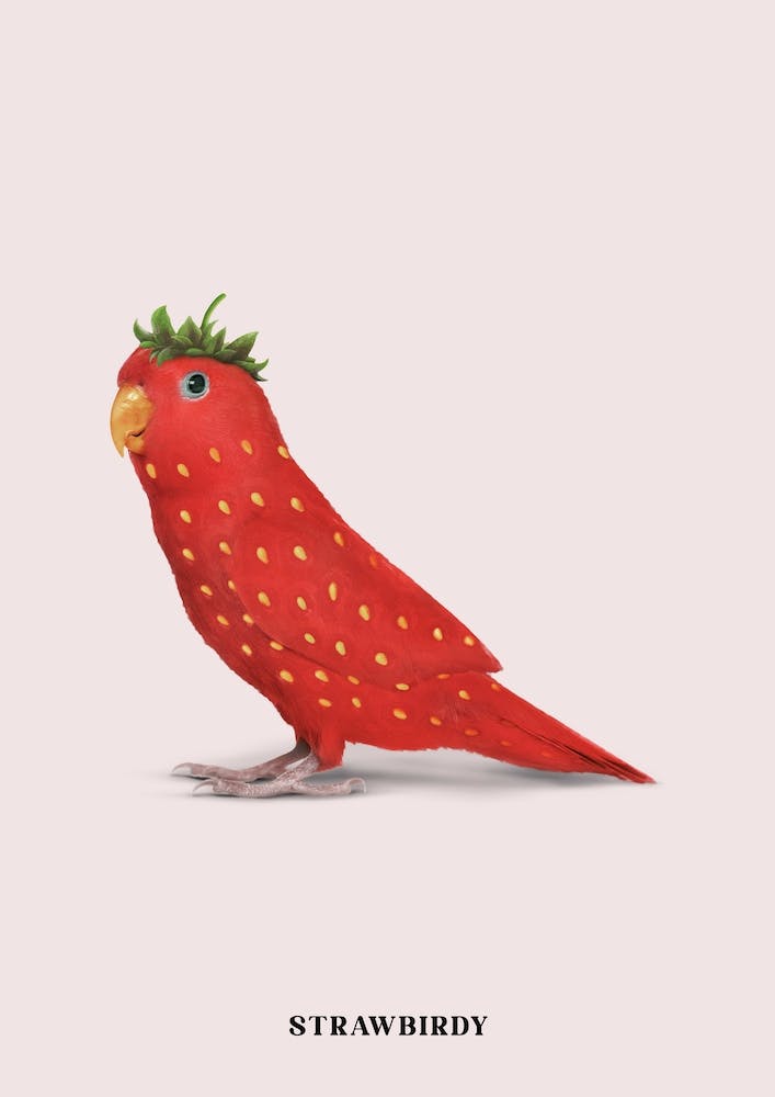 Strawbirdy Red & Pink