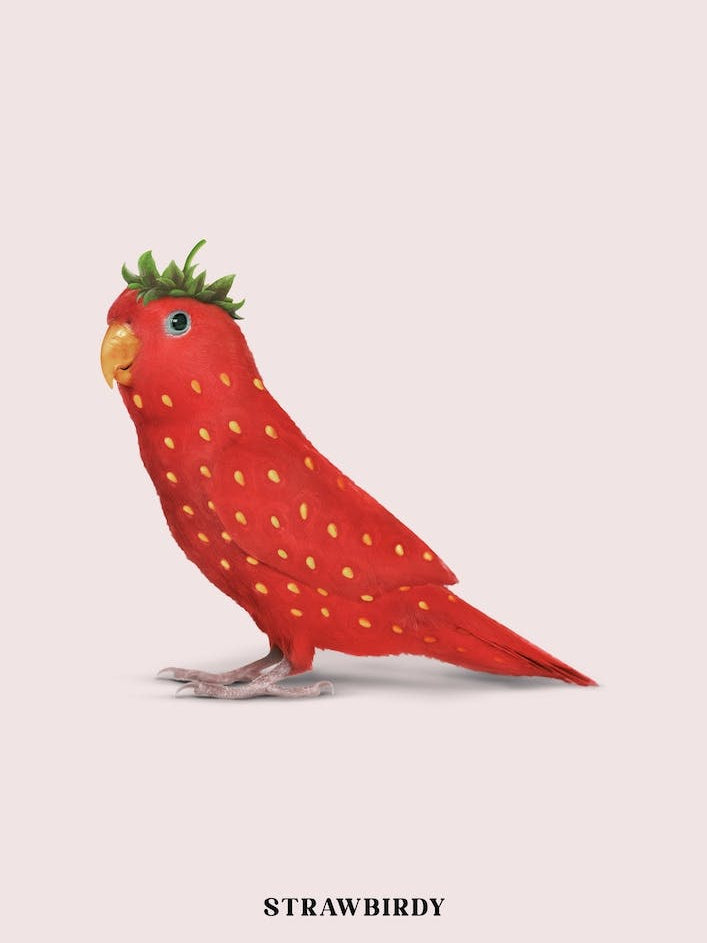 Strawbirdy Red & Pink