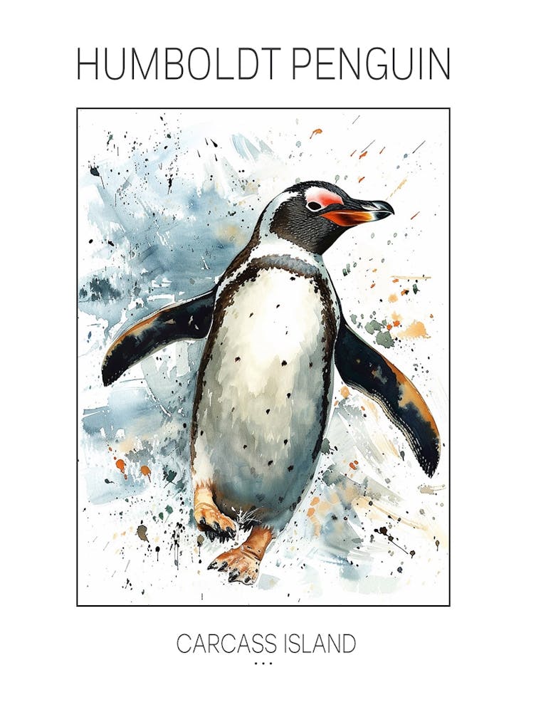 Humboldt Penguin Carcass Island Watercolour Painting 4 Poster