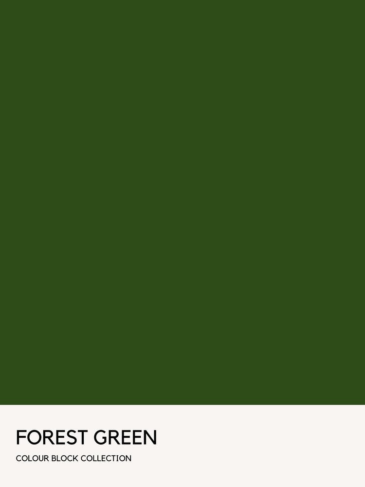 Forest Green Colour Block Poster
