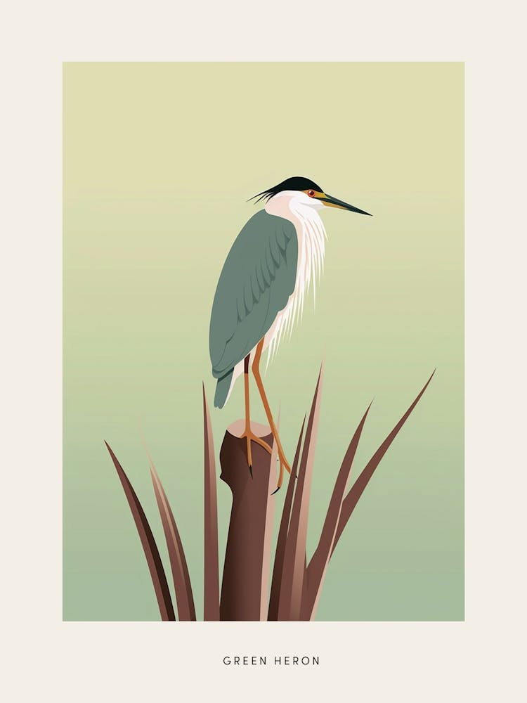 Minimalist Green Heron 3 Bird Poster