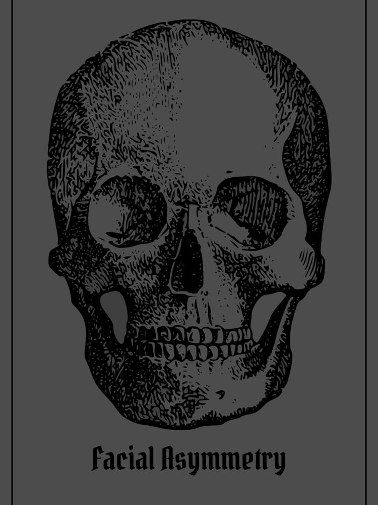 Lustiges Schädel-Poster