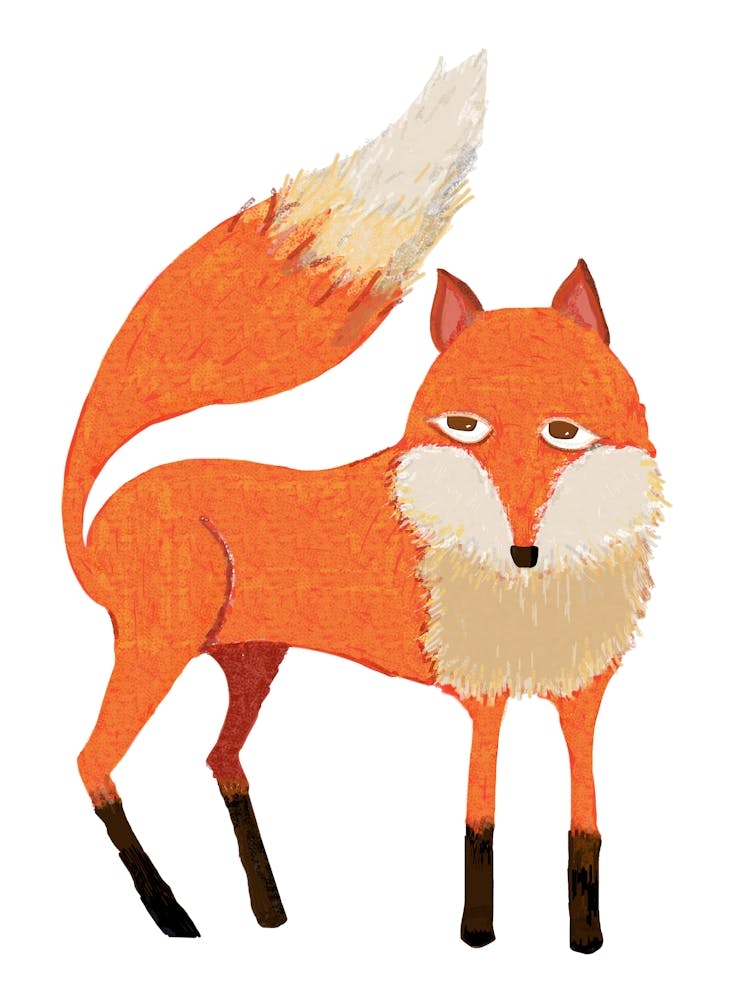 The Fox 1