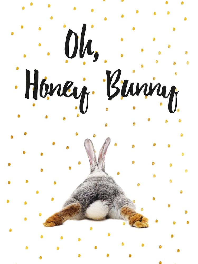 Honey Bunny
