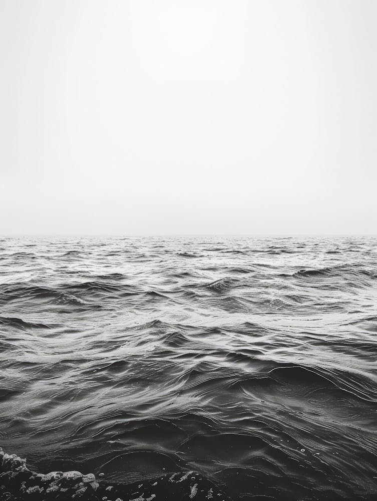 Black And White Seascape 1