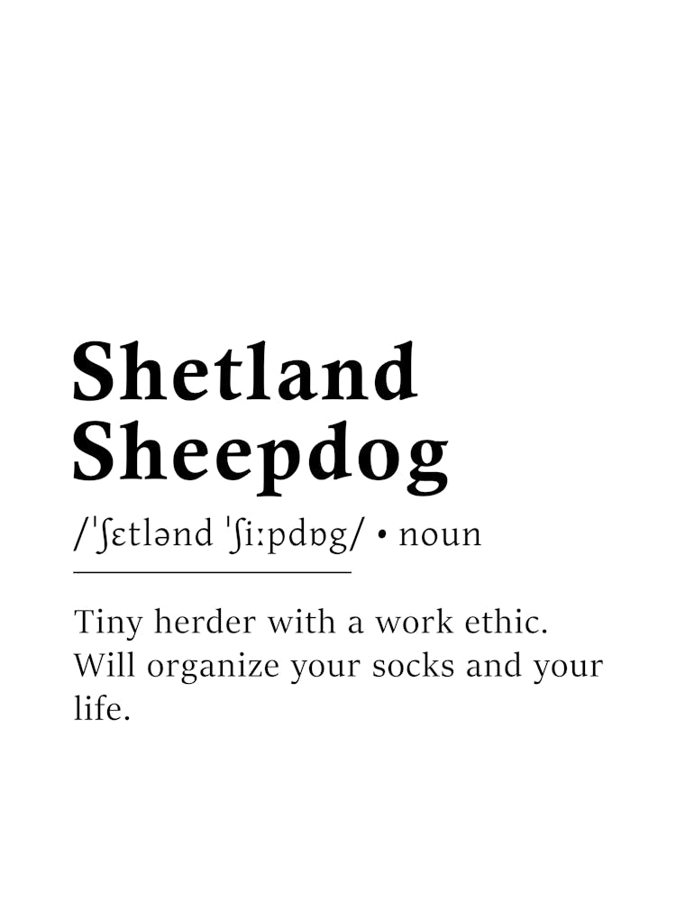 Shetland Sheepdog Definition Poster - Dictionary