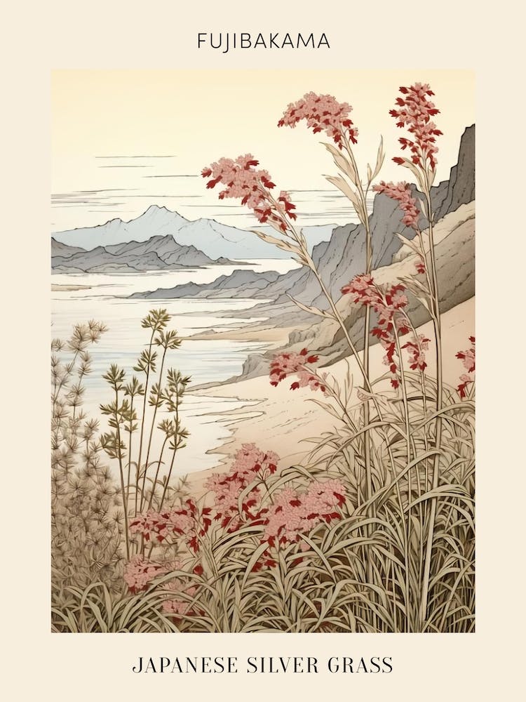 Fujibakama Japanese Silver Grass 2 Japanese Botanical Illustration Poster