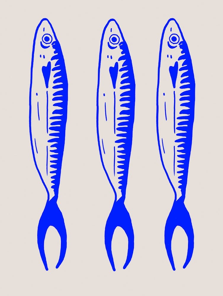 Blue Sardines