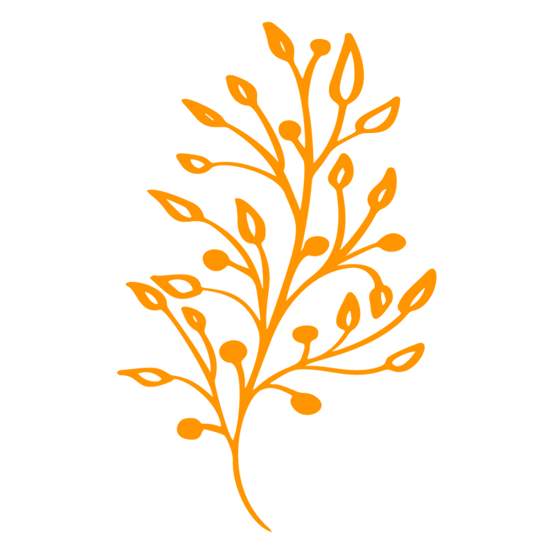 Orange Leaf On Black Background