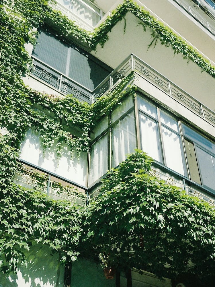 Summer Architecture, Istanbul