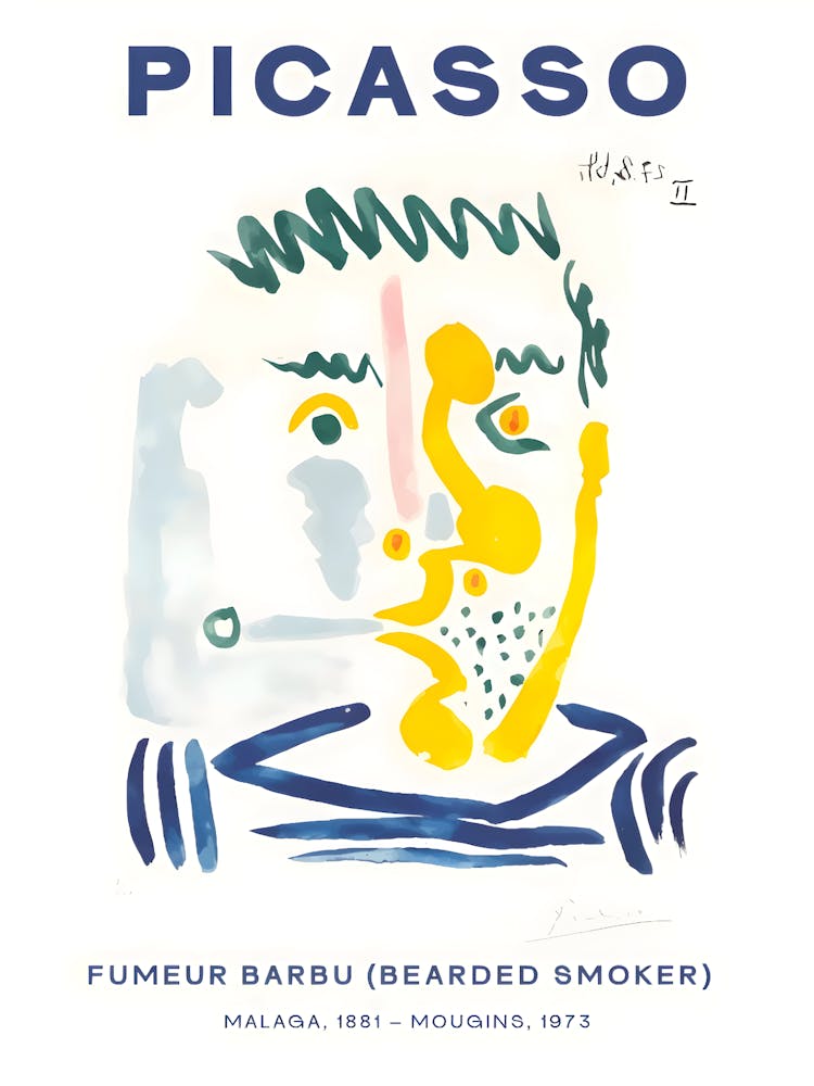 Picasso 3